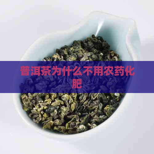 普洱茶为什么不用农药化肥