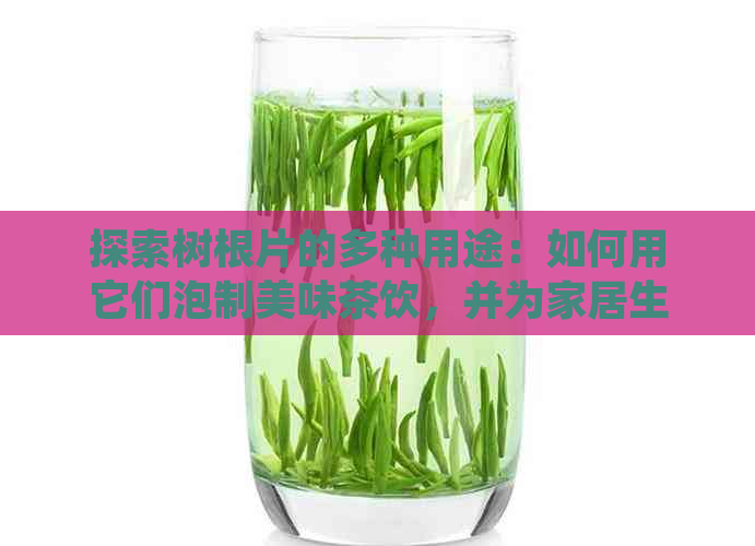 探索树根片的多种用途：如何用它们泡制美味茶饮，并为家居生活增添绿色元素