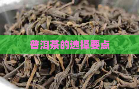 普洱茶的选择要点