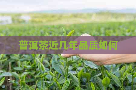 普洱茶近几年品质如何