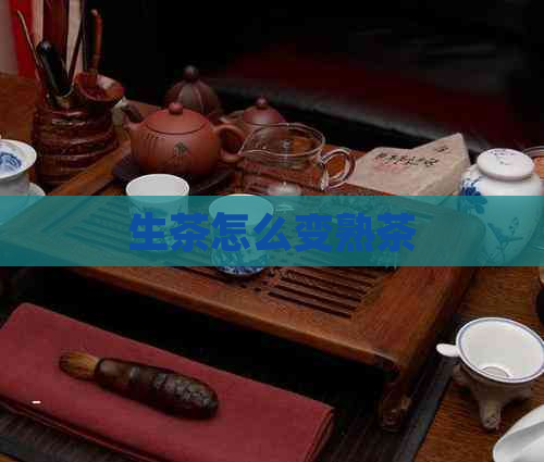 生茶怎么变熟茶