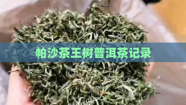 帕沙茶王树普洱茶记录