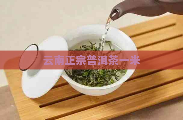 云南正宗普洱茶一米