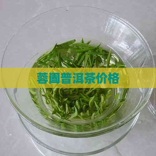 蓉阖普洱茶价格