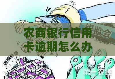 农商银行信用卡逾期怎么办处理方法