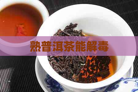 熟普洱茶能解