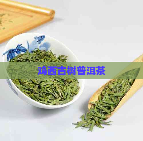 鸡西古树普洱茶