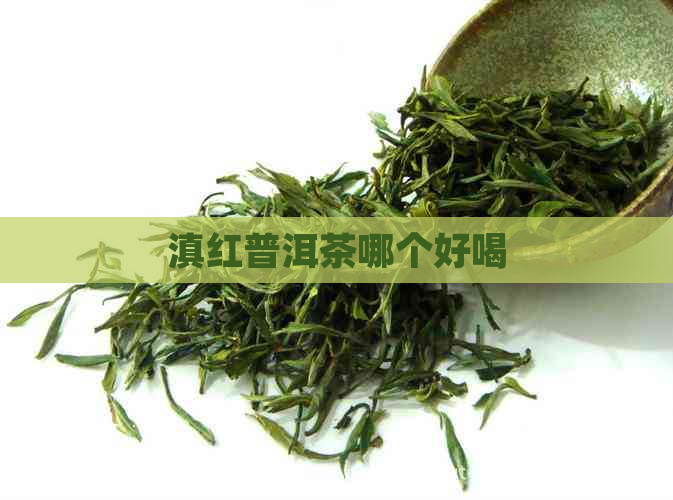 滇红普洱茶哪个好喝