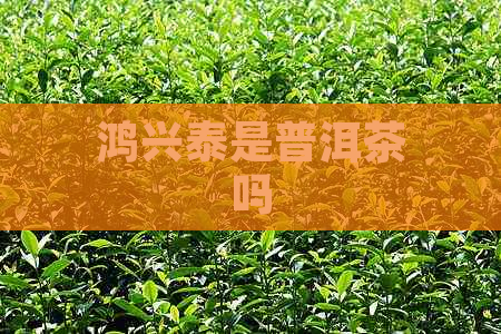 鸿兴泰是普洱茶吗