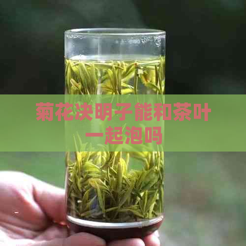 菊花决明子能和茶叶一起泡吗