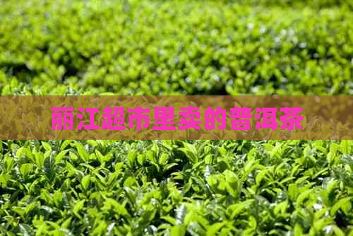 丽江超市里卖的普洱茶