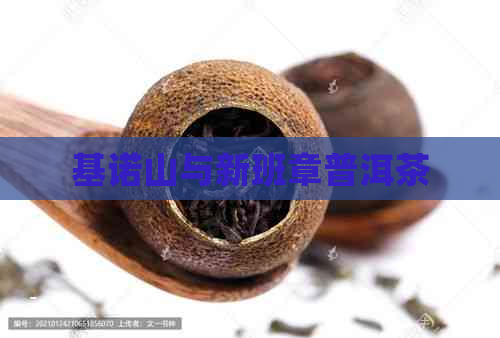 基诺山与新班章普洱茶