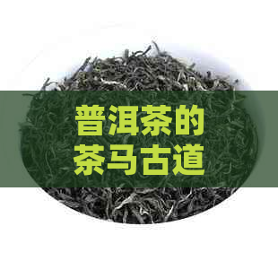 普洱茶的茶马古道