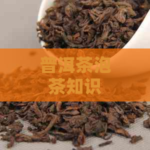 普洱茶泡茶知识