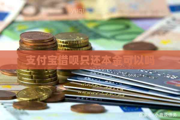 支付宝借呗只还本金可以吗