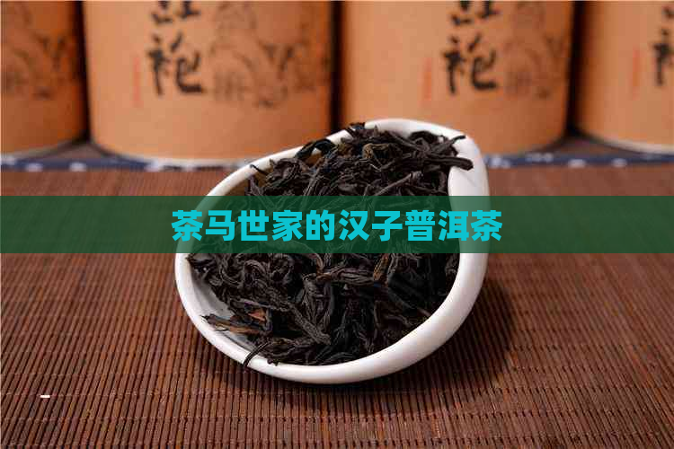 茶马世家的汉子普洱茶