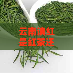 云南滇红是红茶还是绿茶