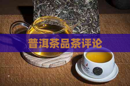 普洱茶品茶评论