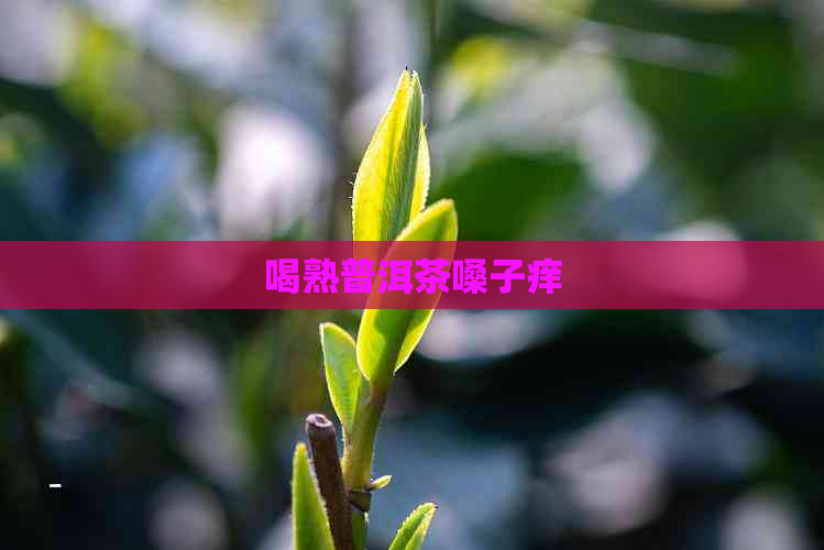 喝熟普洱茶嗓子痒