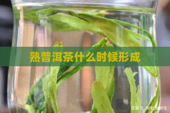 熟普洱茶什么时候形成