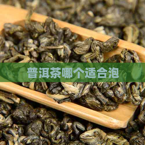 普洱茶哪个适合泡