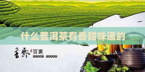 什么普洱茶有香甜味道的