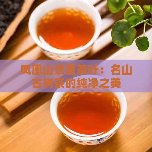 凤凰山景星茶叶：名山古树茶的纯净之美