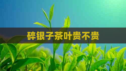 碎银子茶叶贵不贵