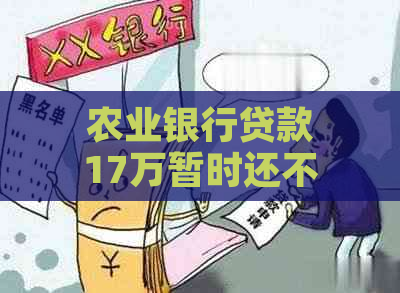 农业银行贷款17万暂时还不上怎么办