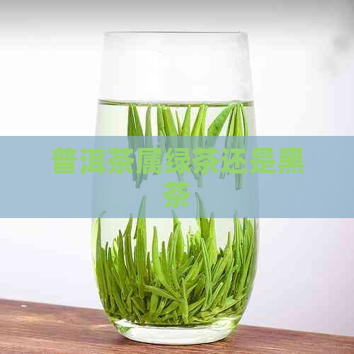 普洱茶属绿茶还是黑茶