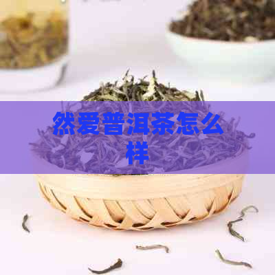 然爱普洱茶怎么样