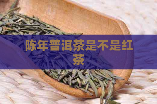 陈年普洱茶是不是红茶