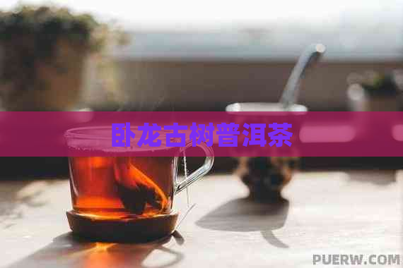 卧龙古树普洱茶