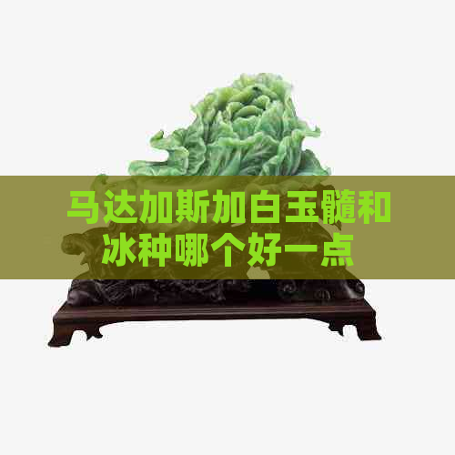 马达加斯加白玉髓和冰种哪个好一点