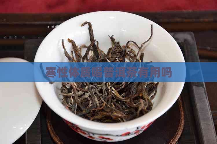 寒性体质喝普洱茶有用吗