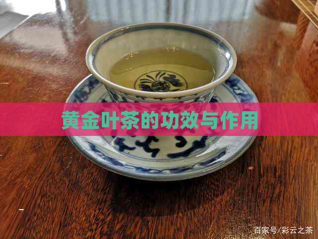 黄金叶茶的功效与作用