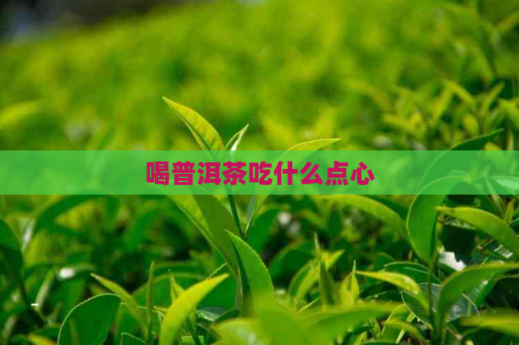 喝普洱茶吃什么点心