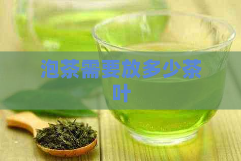 泡茶需要放多少茶叶