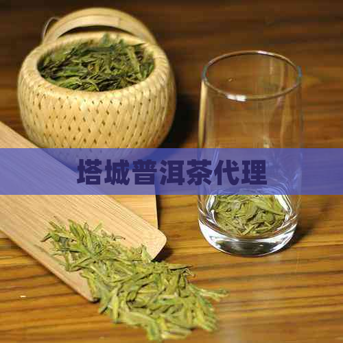 塔城普洱茶代理