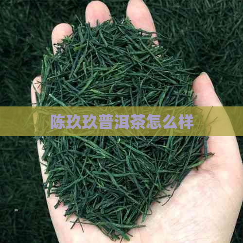 陈玖玖普洱茶怎么样