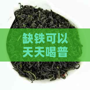 缺铁可以天天喝普洱茶吗