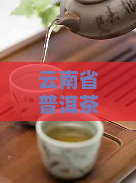 云南省普洱茶基地