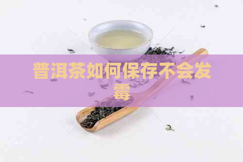 普洱茶如何保存不会发霉