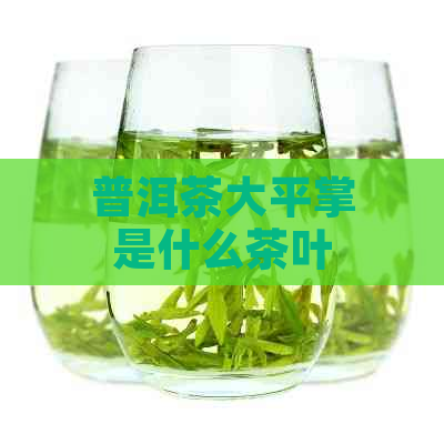 普洱茶大平掌是什么茶叶