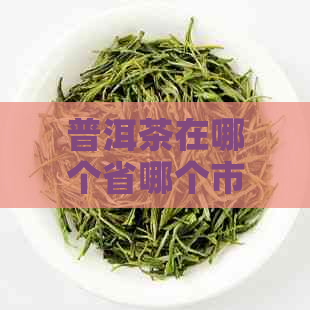 普洱茶在哪个省哪个市