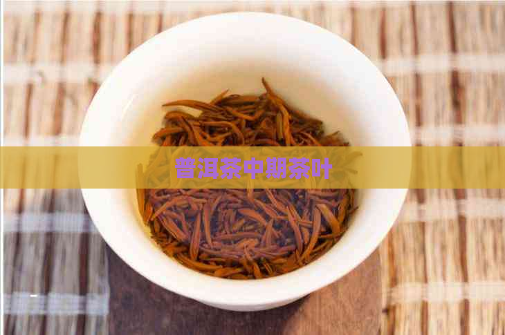 普洱茶中期茶叶