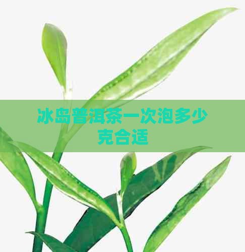 冰岛普洱茶一次泡多少克合适