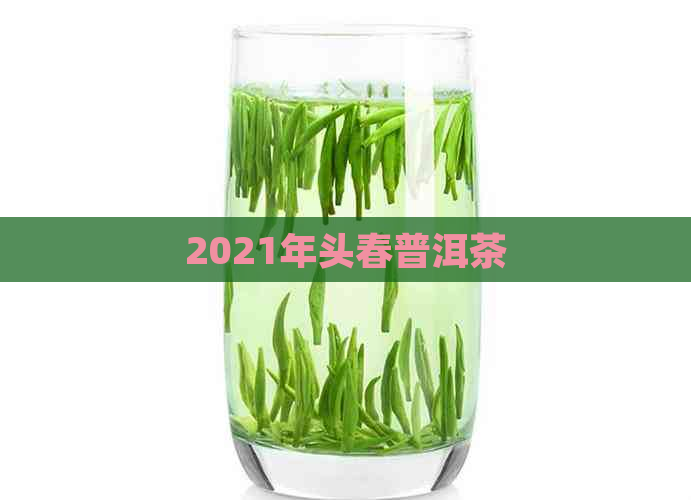 2021年头春普洱茶