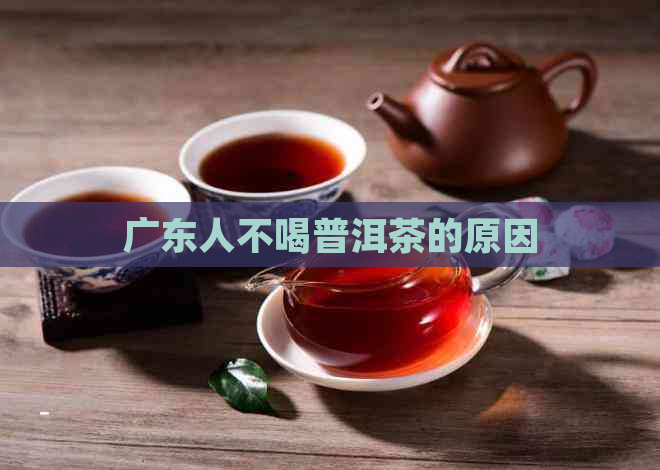 广东人不喝普洱茶的原因