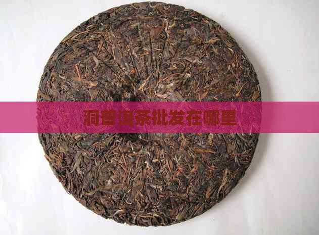 洞普洱茶批发在哪里